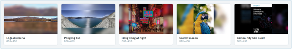 The same five images through Scale and fill background: uniform cards, aligned captions, and every image complete.