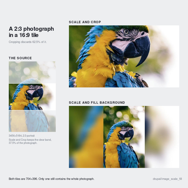 Image Fill Example