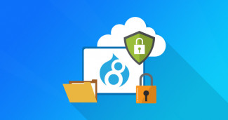 Hire Dedicated Drupal Developers