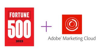 Fortune 500 Companies Using Adobe Marketing Cloud