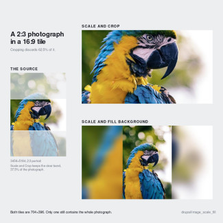 Image Fill Example