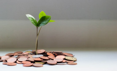 Growth, Photo Credit: Visual Stories || Micheile