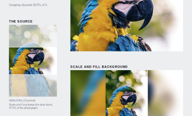 Image Fill Example