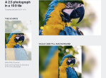 Image Fill Example